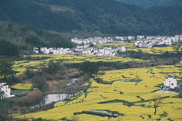 江岭景区第 72 张图片