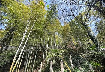虞山景区第 14 张图片