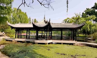 陶然亭公园第 15 张图片