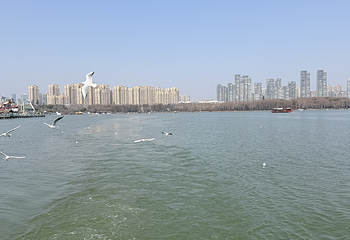 东湖生态旅游风景区第 35 张图片