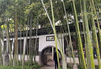个园第 154 张图片