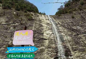 朱雀国家森林公园第 42 张图片