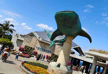 冲绳美丽海水族馆第 39 张图片