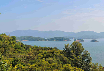 万绿湖风景区第 35 张图片