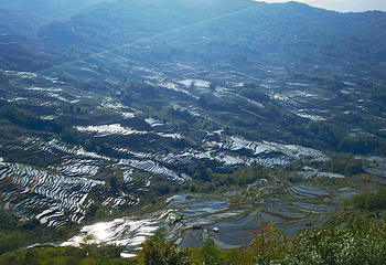 元阳哈尼梯田第 33 张图片