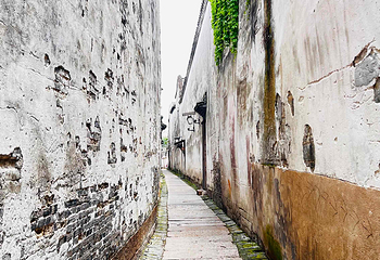 乌镇东栅景区第 64 张图片