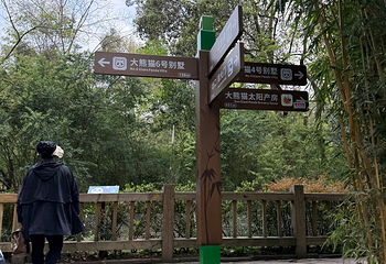 成都大熊猫繁育研究基地第 635 张图片