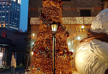 新天地第 81 张图片