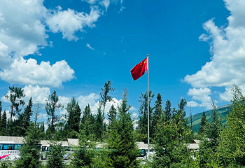喀纳斯景区第 47 张图片