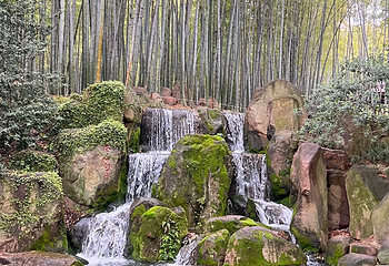 虎丘山风景名胜区第 207 张图片