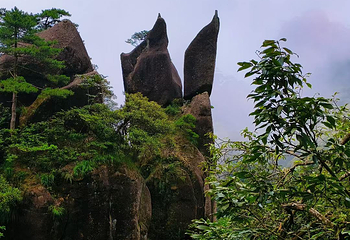 三清山风景区第 233 张图片