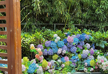 花都温泉度假区第 59 张图片