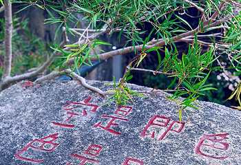南普陀寺第 43 张图片