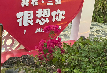 鹿回头风景区第 187 张图片