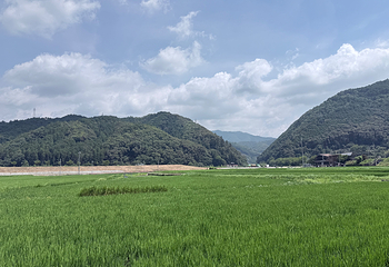 岚山嵯峨野观光小火车第 24 张图片