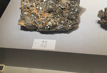 成都自然博物馆第 62 张图片