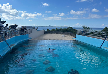 冲绳美丽海水族馆第 148 张图片
