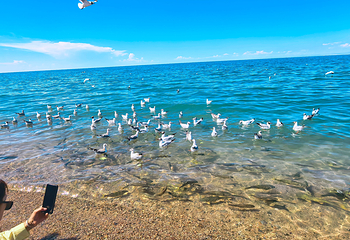 青海湖二郎剑景区第 83 张图片