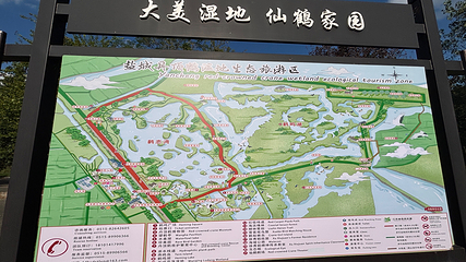 丹顶鹤湿地生态旅游区第 31 张图片
