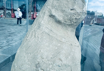 净土寺第 156 张图片