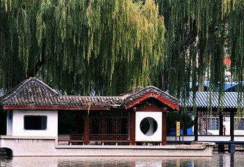 团结湖公园第 36 张图片