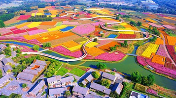 江苏三台山国家森林公园-露营区