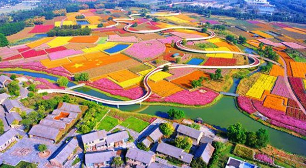 江苏三台山国家森林公园-露营区