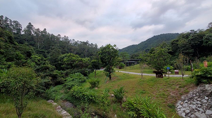 阳台山森林公园-云溪谷第 1 张图片