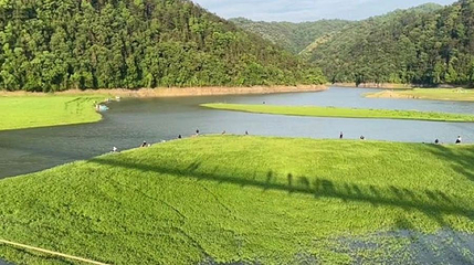阳明湖国家湿地公园第 1 张图片