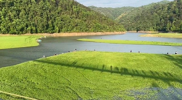 阳明湖国家湿地公园