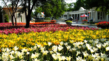 沈阳世博园-悠然花谷