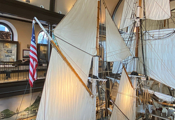 New Bedford Whaling Museum第 9 张图片