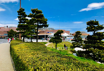 茨城县大洗水族馆第 6 张图片