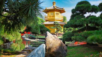 志莲净苑盆景廊