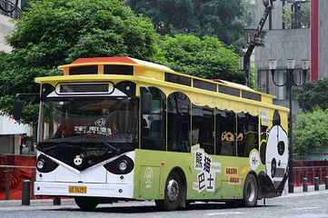 重庆都市观光巴士第 21 张图片