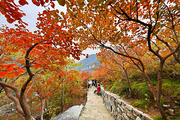 坡峰岭第 12 张图片