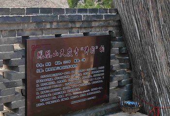朝阳凤凰山第 28 张图片