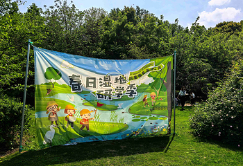 同里国家湿地公园第 51 张图片