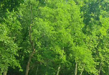 钟山风景名胜区第 162 张图片