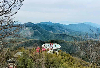 宜兴竹海风景区第 41 张图片