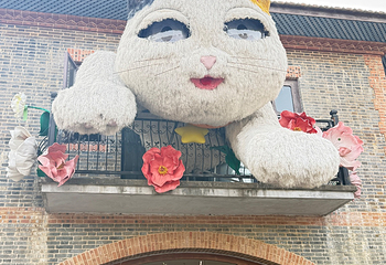 濮院时尚古镇第 501 张图片