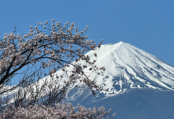 富士山第 103 张图片