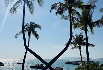 天涯海角第 286 张图片