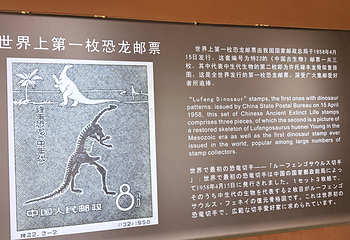 世界恐龙谷第 62 张图片