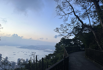 太平山顶第 292 张图片