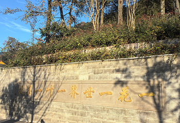 九华山风景区第 181 张图片