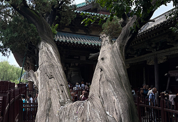 晋祠博物馆第 534 张图片