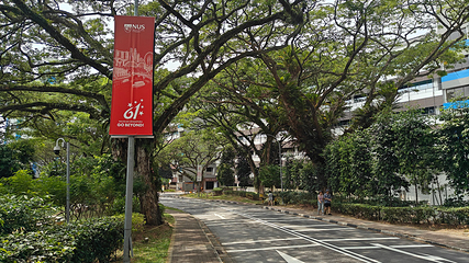 新加坡国立大学第 63 张图片