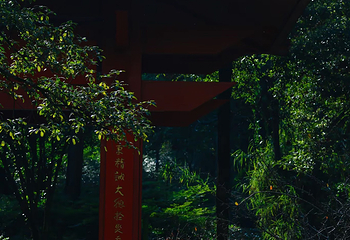 鸿恩寺公园第 104 张图片