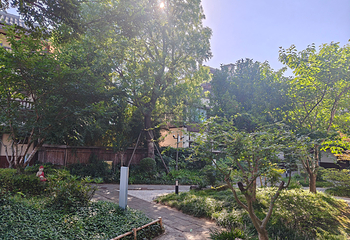 禅意小镇·拈花湾第 314 张图片